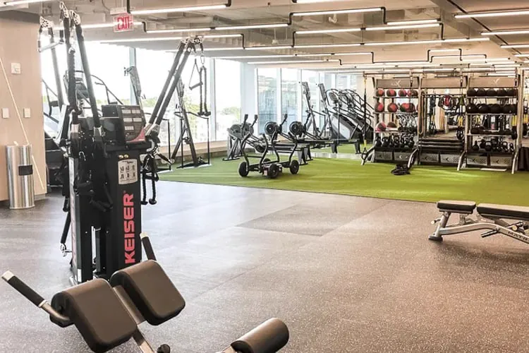 Prostran fitnes centar sa zonom sa veštačkom travom, mašinama za vežbe otpora i uredno raspoređenom opremom za trening.